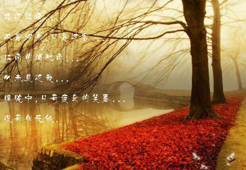 孟如星孟湘月君心如星小说全章节阅读