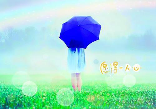 闻总，太太不要你了年渺：结局+番外（年渺闻景笙）完结阅读无弹窗大结局_闻总，太太不要你了年渺：结局+番外免费阅读最新章节列表（年渺闻景笙）