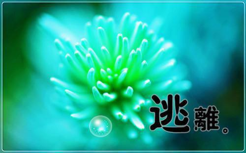 朱由检魏忠贤是哪部小说 忘了算球第9章免费阅读