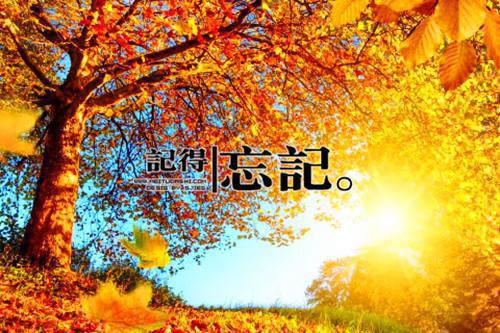 周泽轩江雪曦全文免费阅读无弹窗大结局_（特工老婆变心后，我选择假死离开：结局+番外）周泽轩江雪曦最新章节列表（特工老婆变心后，我选择假死离开：结局+番外）