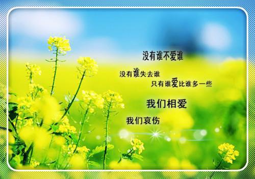 杏枝朱遇全文免费阅读（重华小说）全文在线杏枝朱遇读无弹窗大结局_（重华小说杏枝朱遇）重华小说最新章节列表（杏枝朱遇）