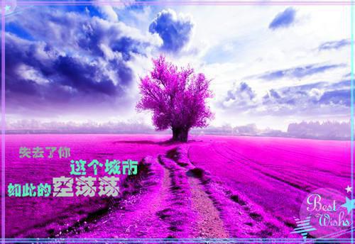 最霸气励志正能量句子