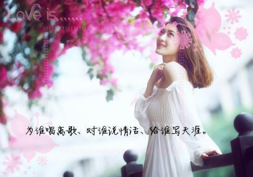 且停且忘且随风颜以溪贺宴辞：+后续+结局全本资源（颜以溪贺宴辞宋绯月）全章节小说无删减阅读_且停且忘且随风颜以溪贺宴辞：+后续+结局全文免费阅读无弹窗大结局（颜以溪贺宴辞宋绯月）