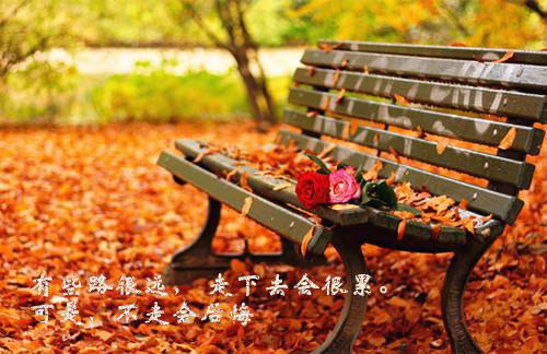 （重生七零团长的知青老婆踹了他：整本+延伸+最终终章小说）在线阅读 周知锦陆霖川精彩小说重生七零团长的知青老婆踹了他：整本+延伸+最终终章小说全文赏析