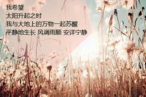 全章节小说我居然闪婚了禁欲男神by一舟桃桃阅读