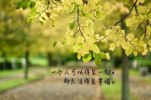 星光公式全文免费阅读（江旭陆诗）小说全文免费阅读无弹窗_（星光公式）小说全文免费阅读最新章节列表（江旭陆诗）
