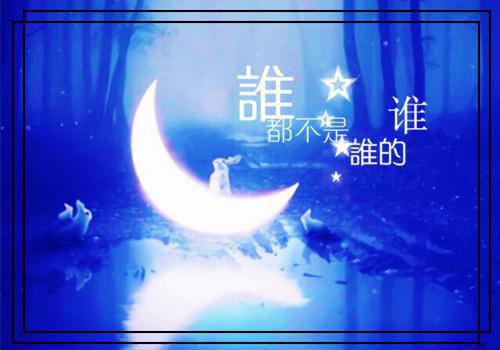 全本免费小说从此不再陷情痴甄希薇曲瑾陌完结版阅读