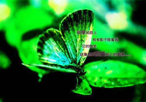 童养媳为了白月光要虐我没关系我还有九个：后续结局（崔明翰周云烟）全文免费阅读_童养媳为了白月光要虐我没关系我还有九个：后续结局（崔明翰周云烟）最新章节列表童养媳为了白月光要虐我没关系我还有九个：后续结局