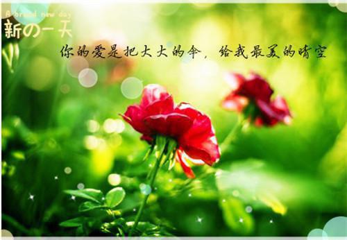 往昔五感黎理林雨小说全文免费黎理林雨读无弹窗大结局_(往昔五感黎理林雨)黎理林雨最新章节列表（往昔五感黎理林雨）