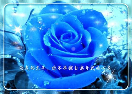 偏我醒时花凋落：结局+番外（白露霍奕辰）终章阅读全文无删减_偏我醒时花凋落：结局+番外全文免费阅读无弹窗大结局（白露霍奕辰）