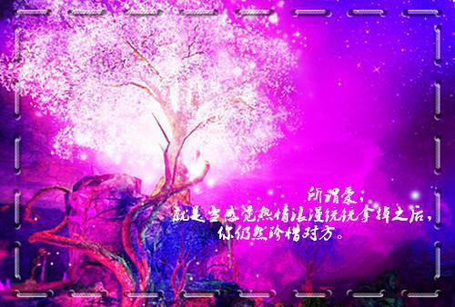 言情全文小说入错洞房，病秧子拱手河山讨我欢完结版精彩阅读