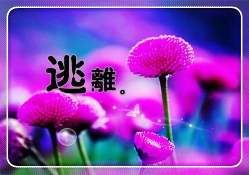 小说楚潇孟轲免费阅读孟轲楚潇完结版全文免费阅读