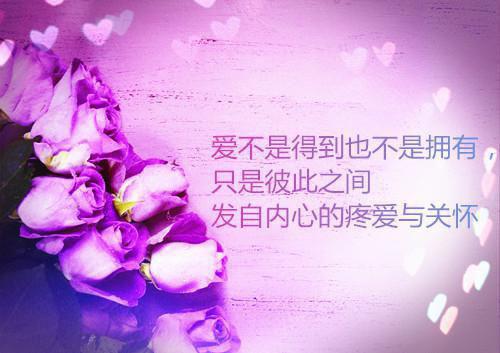 《萌宠嫁到：摄政王的小狐妃》最新章节目录全文免费阅读