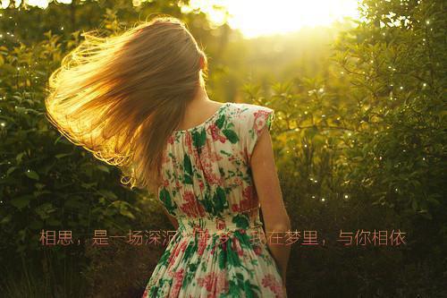 月上扶摇小说免费阅读
