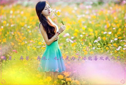 可惜彩云绕梦间：结局+番外免费阅读无弹窗大结局_（徐莫庭段弥月）可惜彩云绕梦间：结局+番外全文无删减阅读最新章节列表