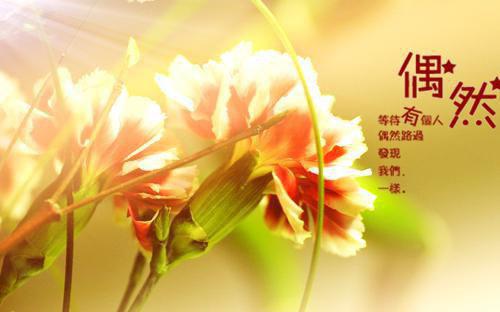 抖音新书热荐枯木迎春小说迎春沈星遥光 小说枯木迎春小说迎春沈星遥光全文完整版免费迎春沈星遥光读