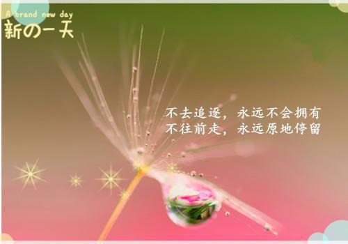 妙手回春全文阅读大结局 灰色贝壳小说最新章节目录
