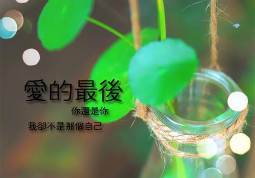 向婉宁顾辞（流年落尽空白首：结局+番外）全文免费阅读无弹窗大结局_（向婉宁顾辞）流年落尽空白首：结局+番外最新章节列表（向婉宁顾辞）