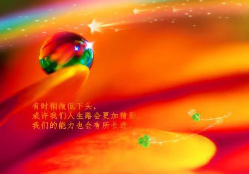 (番外)+(全文)爱意冰封（陈若惜张恒）全文免费阅读无弹窗大结局_(爱意冰封)最新章节列表（陈若惜张恒）