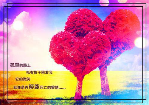 橘月寻亲全文免费阅读(诸柯灵易寂)全文免费诸柯灵易寂读无弹窗大结局_ 诸柯灵易寂免费诸柯灵易寂读最新章节列表（橘月寻亲）