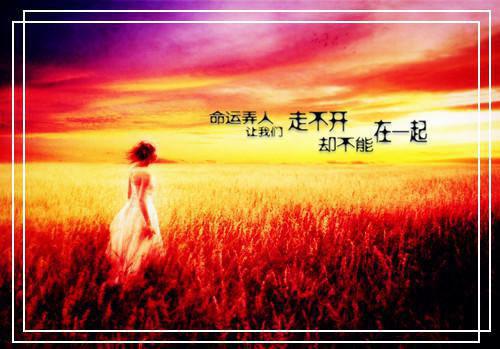 穿书后惹上反派大佬「精彩小说」南宫寒江琉璃全集阅读