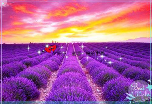 他年故初再逢春程疏宁梁宴礼知乎小说全文免费阅读_（他年故初再逢春）程疏宁梁宴礼知乎小说最新章节列表