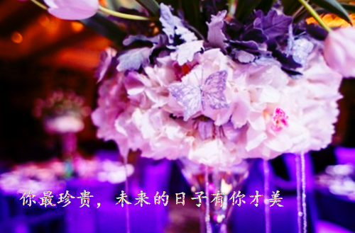 姜千夏司徒煜小说阅读全文小说司徒煜姜千夏最新章节阅读