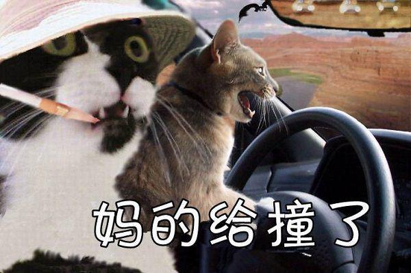 绿河八卦小说全文免费阅读是绿河八卦小说的小说（时知雨裴澈）免费阅读_绿河八卦小说时知雨裴澈小说免费绿河八卦小说（绿河八卦小说）