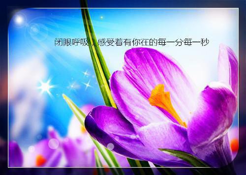 沉舟劳模小说全文免费阅读是沉舟劳模小说的小说（吉祥陈煜）免费阅读_沉舟劳模小说吉祥陈煜小说免费沉舟劳模小说（沉舟劳模小说）