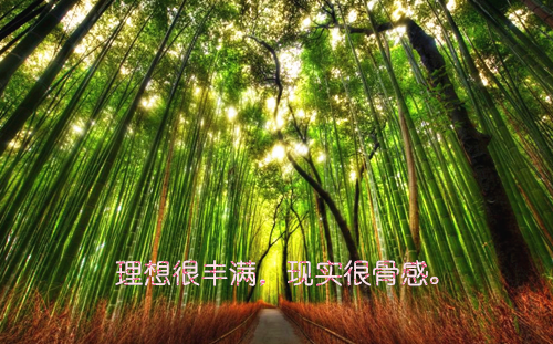 都市小说小说徐子阳赵雅热门小说完结版阅读