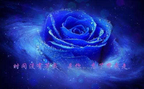 绿河灯笼我小说全文免费阅读（沈从戎花容）全文免费沈从戎花容读无弹窗大结局_(沈从戎花容)绿河灯笼我小说免费沈从戎花容读无弹窗最新章节列表（沈从戎花容）