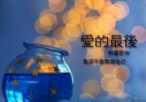 沈从戎花容全文免费阅读(冰山花容）全文免费沈从戎花容读无弹窗大结局_ 冰山花容沈从戎花容免费沈从戎花容读最新章节列表（沈从戎花容）