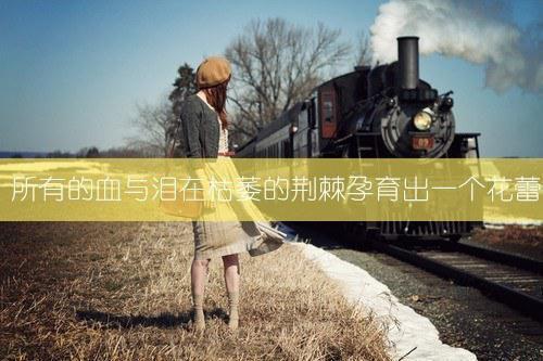 许南烟付斯越(风月与你再不相逢许南烟：结局+番外)全文免费阅读无弹窗大结局_(许南烟付斯越)最新章节列表(风月与你再不相逢许南烟：结局+番外)