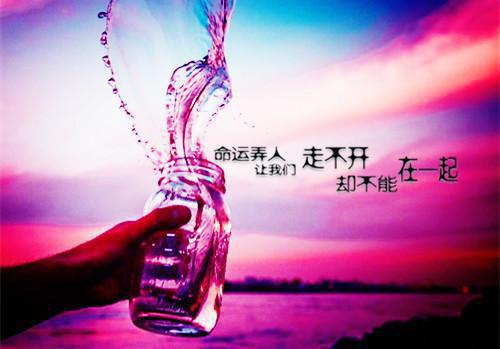 全文小说苏凛月陆淮骁正版小说苏凛月陆淮骁免费阅读