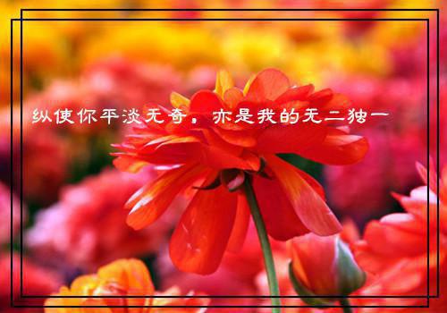 徐珍珍白晚全文免费阅读（被裁后绿茶翻车了小说）全文在线徐珍珍白晚读无弹窗大结局_（被裁后绿茶翻车了小说徐珍珍白晚）被裁后绿茶翻车了小说最新章节列表（徐珍珍白晚）