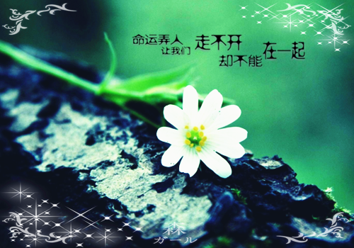 极品农场by蒜蓉青菜免费阅读第6章