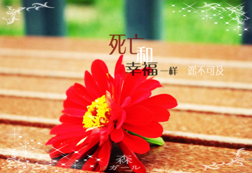 春衫春雨共丝丝(苏在野珠落)全文免费阅读_春衫春雨共丝丝(苏在野珠落)最新章节列表(番外)+(全文)春衫春雨共丝丝 苏在野珠落小说全文免费阅读_春衫春雨共丝丝最新章节列表