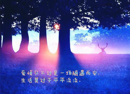 (番外)+(全文)奈何惊鸿入我心：全文+后续小说免费下载阅读_(江疏桐段知许)奈何惊鸿入我心：全文+后续最新章节列表（江疏桐段知许）