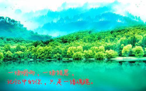 林妍柔陆深小说全文小说免费_林妍柔陆深精彩阅读