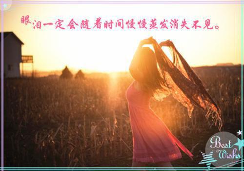 宋宜禾贺境时「精彩小说」宋宜禾贺境时免费阅读