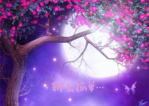 霜初的小说_火爆情节作品军婚甜宠:小军嫂又美又娇叶沐栖夏瑛小说阅读