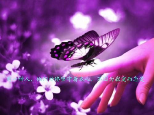 盛淮安沈楚晚全文免费阅读（盛淮安沈楚晚小说）全文免费阅读无弹窗大结局_（盛淮安沈楚晚全文免费阅读无弹窗）盛淮安沈楚晚小说最新章节列表（盛淮安沈楚晚）