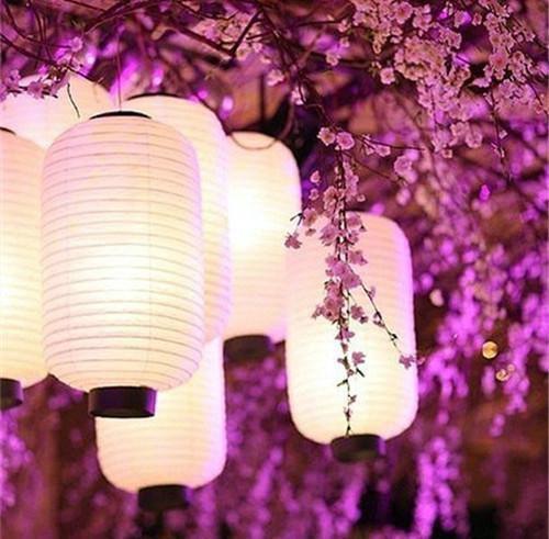 我不是胎神全文免费叶摇西叶宝东读无弹窗大结局_（叶摇西叶宝东我不是胎神小说）我不是胎神最新章节列表（叶摇西叶宝东）