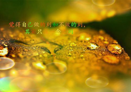 嫁给心狠手辣的王爷后，她野了晏南柯宫祀绝小说全集免费试读