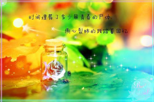 女市长的秘密在线完结版小说_秦筝全文阅读