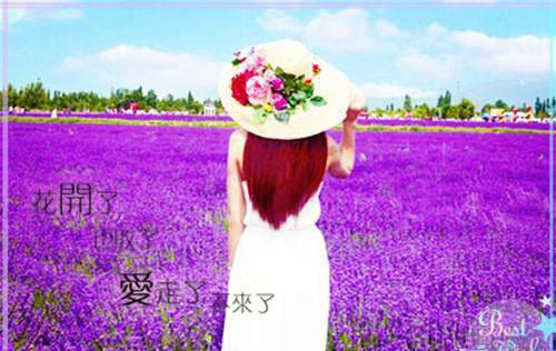 明月北星玉瑾李文殷是什么小说_明月北星玉瑾李文殷小说流云真神是《流云真神》