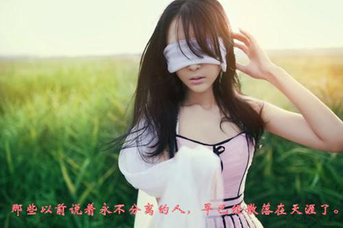 深秋遗梦情难忘免费全本免费靳云霆沈月绾小说全文试读