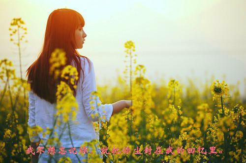 【新书】《别离的笙箫：完整版+番外+后续小说》温念笙裴京宴别离的笙箫：完整版+番外+后续小说全文全章节阅读