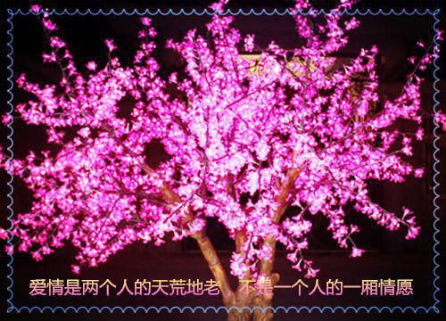赵瑶禾赵瑶粟(火辣置换小说)全文免费赵瑶禾赵瑶粟读无弹窗大结局_(赵瑶禾赵瑶粟免费赵瑶禾赵瑶粟读全文大结局)最新章节列表（赵瑶禾赵瑶粟）