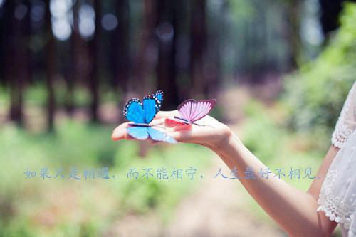 姜泠裴长羲在线热门小说（裴长羲姜泠）免费试读